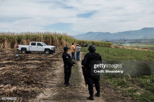 Police officers guard the entrance of a clandestine grave discovered at a sugarcane field in the town of Xalisco, Nayarit state, Mexico, on Saturday,...