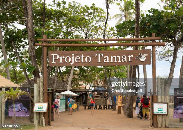 tamar bahia fort beach project - projeto tamar stock pictures, royalty-free photos & images