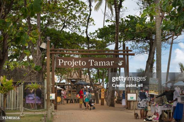tamar entrance bahia praia do forte project - projeto tamar stock pictures, royalty-free photos & images