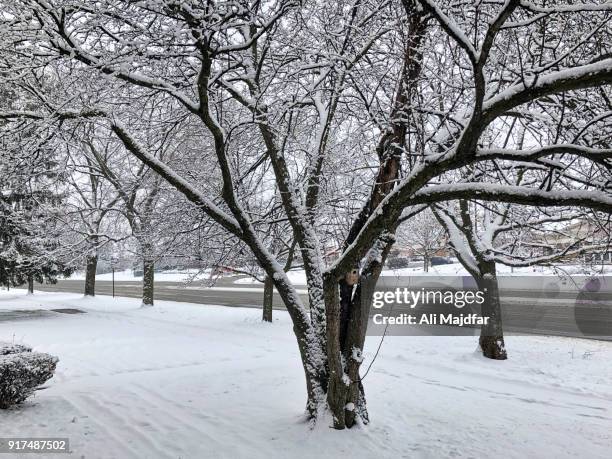 winter in the city - michigan winter stock pictures, royalty-free photos & images