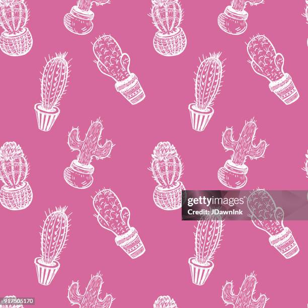seamless patterns with assorted hand drawn cactus - potted cactus stock illustrations