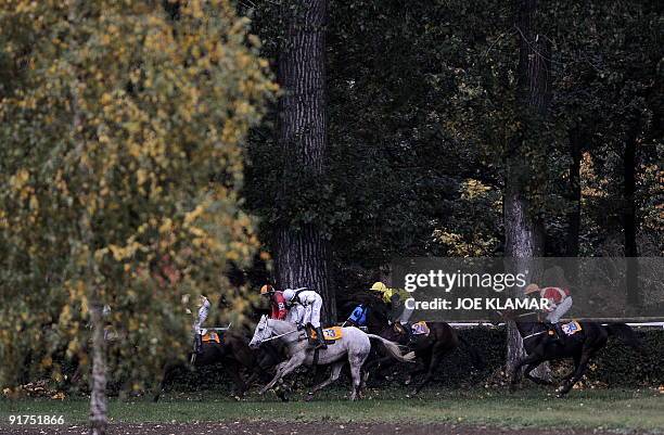 Riders compete during the 119th traditional Velka Pardubicka Steeple-Chase in Pardubice city, East Bohemia, on October 11, 2009. Czech jockey Josef...