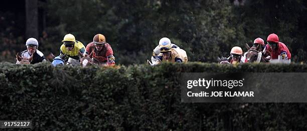 Riders compete during the 119th traditional Velka Pardubicka Steeple-Chase in Pardubice city, East Bohemia, on October 11, 2009. Czech jockey Josef...