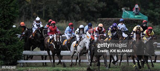 Riders compete during the 119th traditional Velka Pardubicka Steeple-Chase in Pardubice city, East Bohemia, on October 11, 2009. Czech jockey Josef...