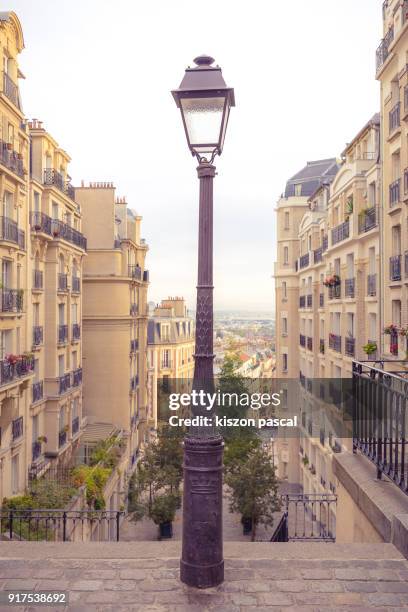 street light in paris , france - citylight stockfoto's en -beelden