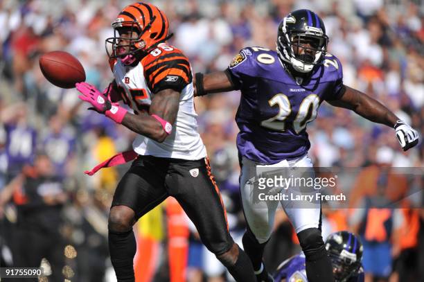 Chad Ochocinco of the Cincinnati Bengals fumbles the ball after a catch against the Baltimore Ravens at M&T Bank Stadium on October 11, 2009 in...