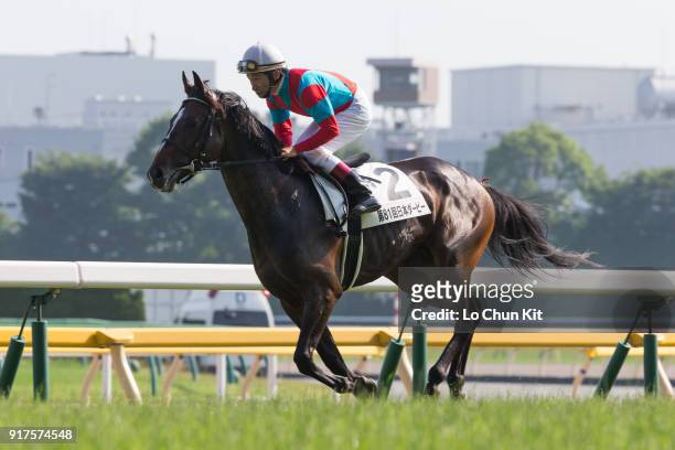 Jockey Norihiro Yokoyama riding One and Only during the Tokyo Yushun at Tokyo Racecourse on June 1, 2014 in Tokyo, Japan. Tokyo Yushun Japanese...