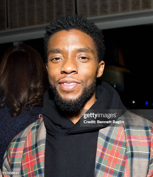 Actor Chadwick Boseman attends the Danai x One x Love Our Girls celebration at The Top of The Standard on February 12, 2018 in New York City.