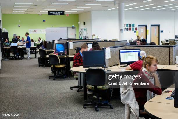 Students studying at Internet stations in the Michael M. Bennett Library.
