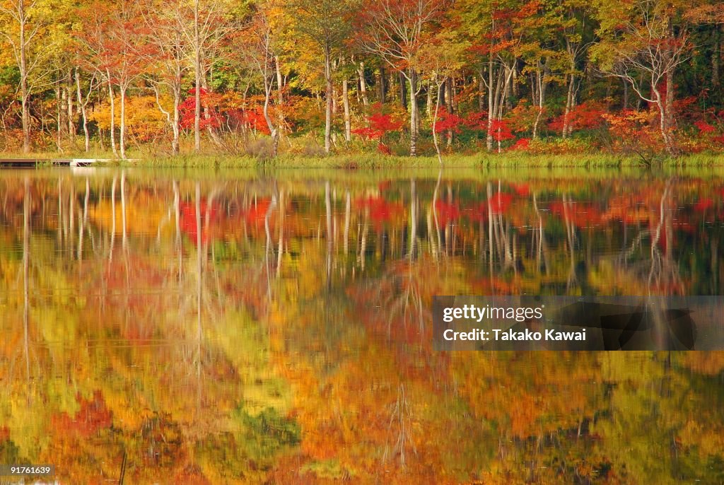 Autumn Colours Reflection