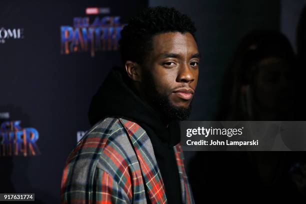 Chadwick Boseman attends Marvel Studios Presents: Black Panther Welcome To Wakanda during February 2018 New York Fashion Week: The Shows at Industria...