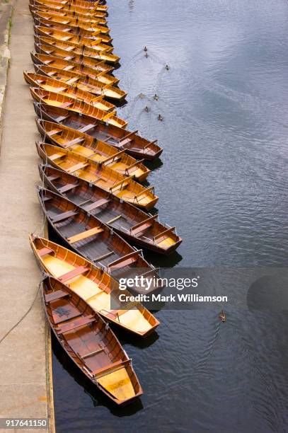 Mark Rowing Photos and Premium High Res Pictures - Getty Images
