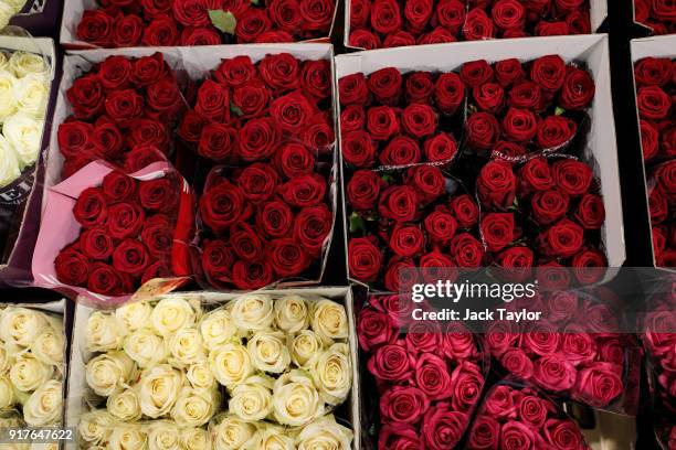 Bunches of different varieties of roses on display at New Covent Garden Flower Market ahead of Valentine's Day on February 13, 2018 in London,...