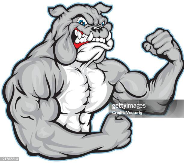 illustrations, cliparts, dessins animés et icônes de bulldog musculation - muscle d'un animal