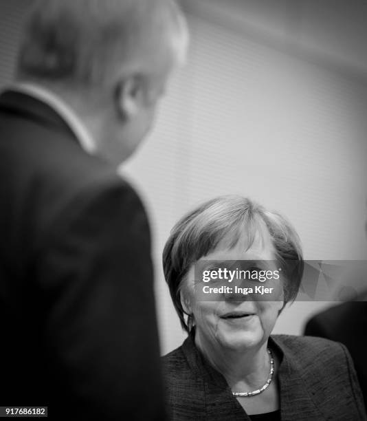 German Chancellor Angela Merkel and Bavarian Governor and leader of the Bavarian Christian Democrats Horst Seehofer arrive for a special faction...