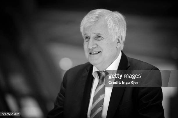 Bavarian Governor and head of the Bavarian Christian Social Union Horst Seehofer, gives an interview after a special faction meeting, on February 07,...