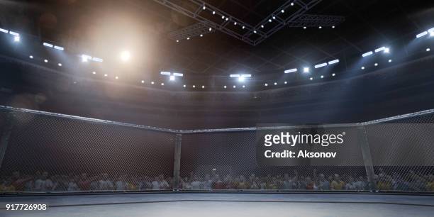 ring de boxeo profesional en 3d - combat sport fotografías e imágenes de stock