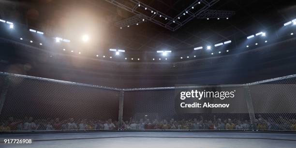 professional boxing ring in 3d - mma fighters stock pictures, royalty-free photos & images