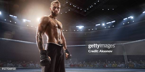 mma fighter in professional boxing ring - mma fighters stock pictures, royalty-free photos & images