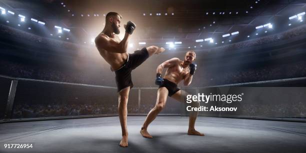 luchadores de mma en ring de boxeo profesional - combat sport fotografías e imágenes de stock