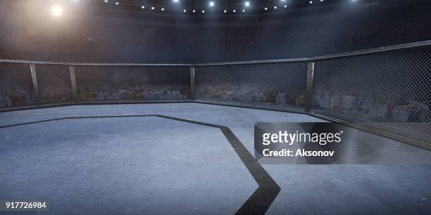 professionele boksring in 3d - mixed martial arts stockfoto's en -beelden