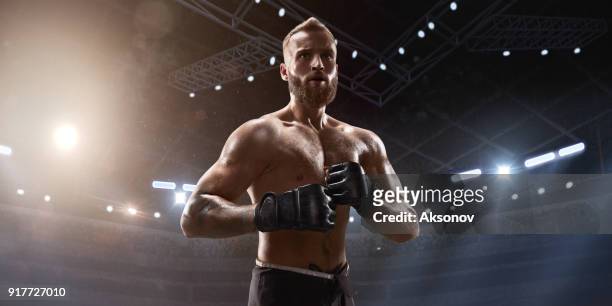 mma fighter in professional boxing ring - mma ring stock pictures, royalty-free photos & images