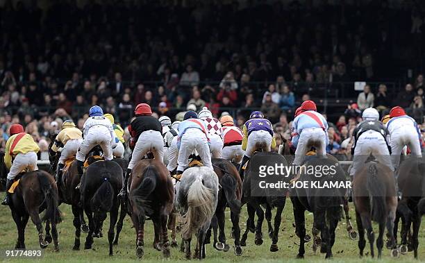 Riders compete during the 119th traditional Velka Pardubicka Steeple-Chase in Pardubice city, East Bohemia, on October 11, 2009. Czech jockey Josef...