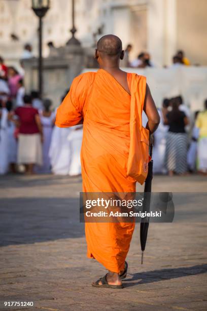 buddhist monks in the temple of the tooth - pilgrims walk stock pictures, royalty-free photos & images