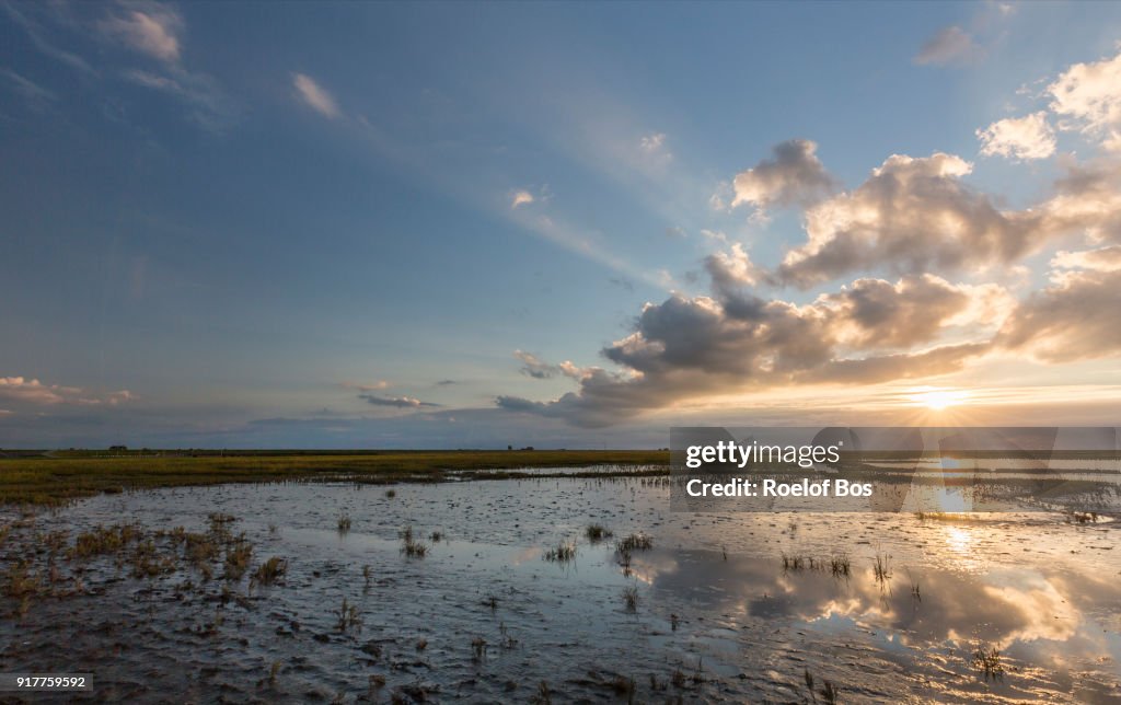 Unesco area landscape of 'waddenzee' near Noordpolderzijl with sea and land at low tide
