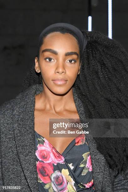 Writer Cipriana Quann attends the Sally LaPointe fashion show during New York Fashion Week on February 13, 2018 in New York City.