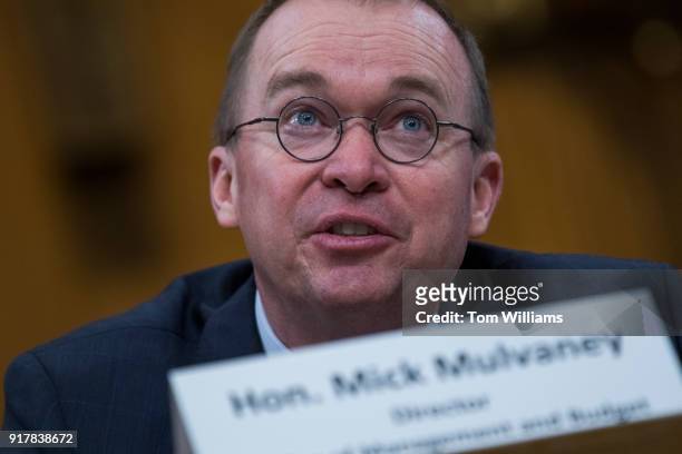 Mick Mulvaney, director of the Office of Management and Budget, testifies before a Senate Budget Committee hearing on the "Presidents Fiscal Year...