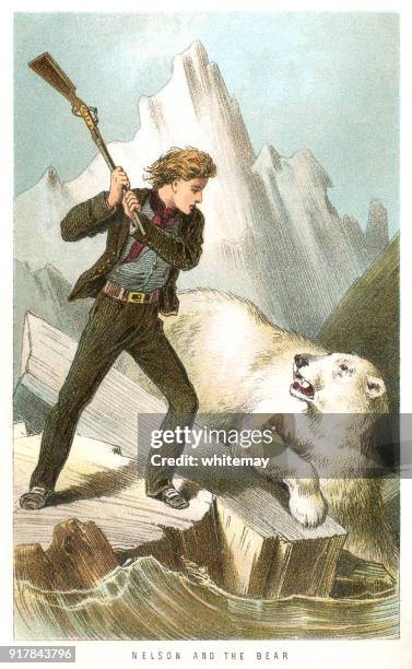 midshipman horatio nelson fighting a polar bear on a polar expedition - northwest passage stock illustrations