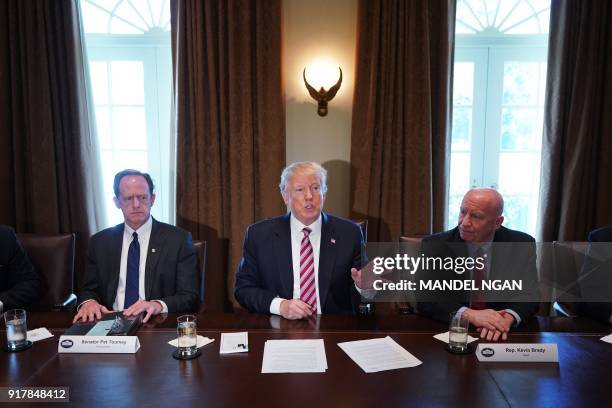 Flanked by Senator Pat Toomey , R-PA, and Kevin Brady, R-TX, US President Donald Trump speaks during a meeting with members of Congress on trade in...