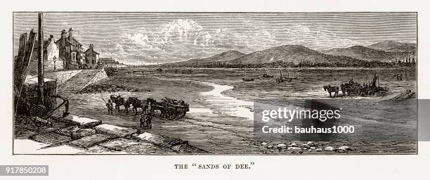 sands of river dee in chester, wales victorian engraving, 1840 - estuary stock illustrations