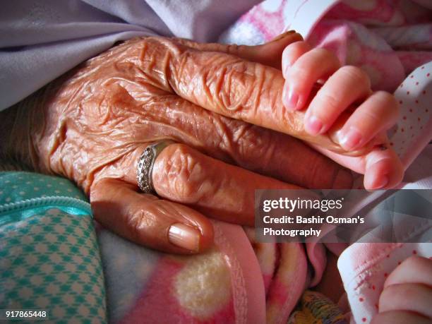 detailed close-up of a newly born baby - pakistan family stock pictures, royalty-free photos & images