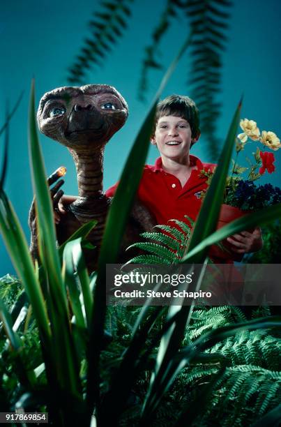 Surrounded by artificial vegetation, American child actor Henry Thomas poses with the titular puppet from his film, 'ET the Extra Terrestrial' , Los...