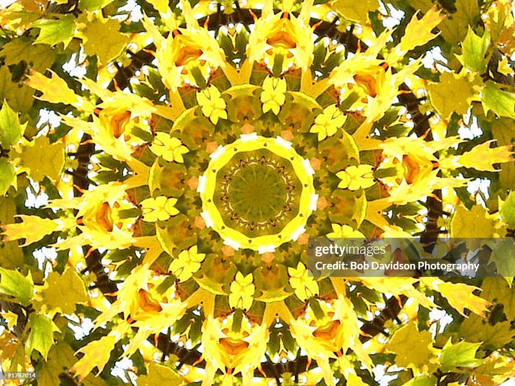 Yellow leaves in kaleidoscopic 