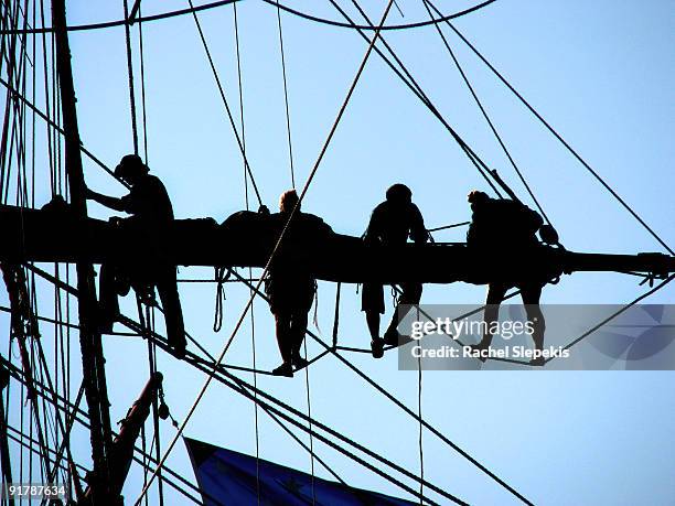 out on a limb - crew stockfoto's en -beelden