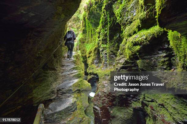 a gorge in dartmoor - ravine stock pictures, royalty-free photos & images