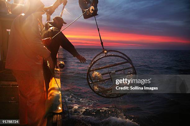 crab fishermen reel in a pot at sunrise - crab pot stockfoto's en -beelden