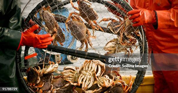 crab pot on deck of the fishing boat - crab stock pictures, royalty-free photos & images