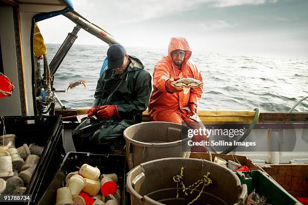 fishermen sorting crab - captura de peces fotografías e imágenes de stock