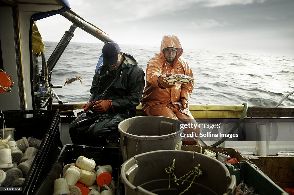 Fishermen Sorting Crab
