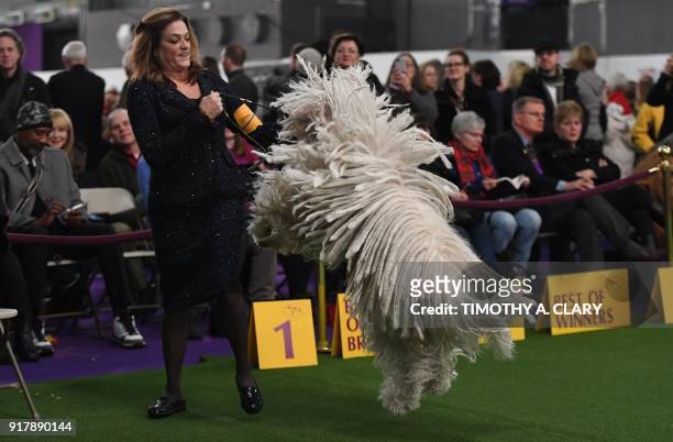 Komondor and handler Nina Fetter in the judging ring during Day Two of competition at the Westminster Kennel Club 142nd Annual Dog Show in New York...