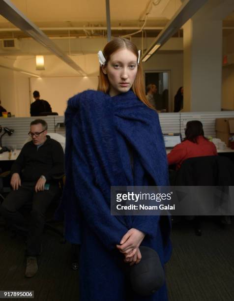 Model poses backstage at the Gabriela Hearst fashion show during New York Fashion Wee on February 13, 2018 in New York City.