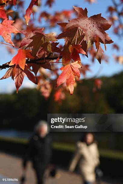 Germany In October Autumn Weather Reaches Germany Photos and Premium High Res Pictures ...