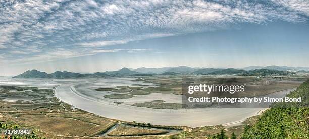 suncheon bay - suncheon stock pictures, royalty-free photos & images