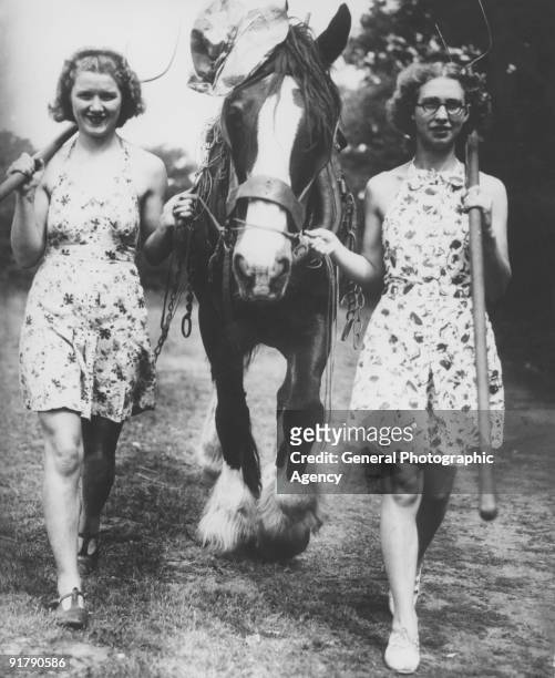 Two young women leading a shire horse at harvest time on a farm in Ripley, Surrey, circa 1935.