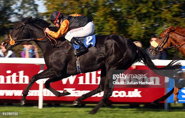 Dane O' Neill and Victoria Sponge land The Bathwick Tyres Bournmouth Handicap Stakes Race run at Salisbury Racecourse on October 12, 2009 in...