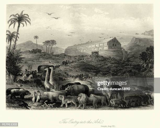 ilustrações de stock, clip art, desenhos animados e ícones de the animals entering noah's ark, genesis - noah ark